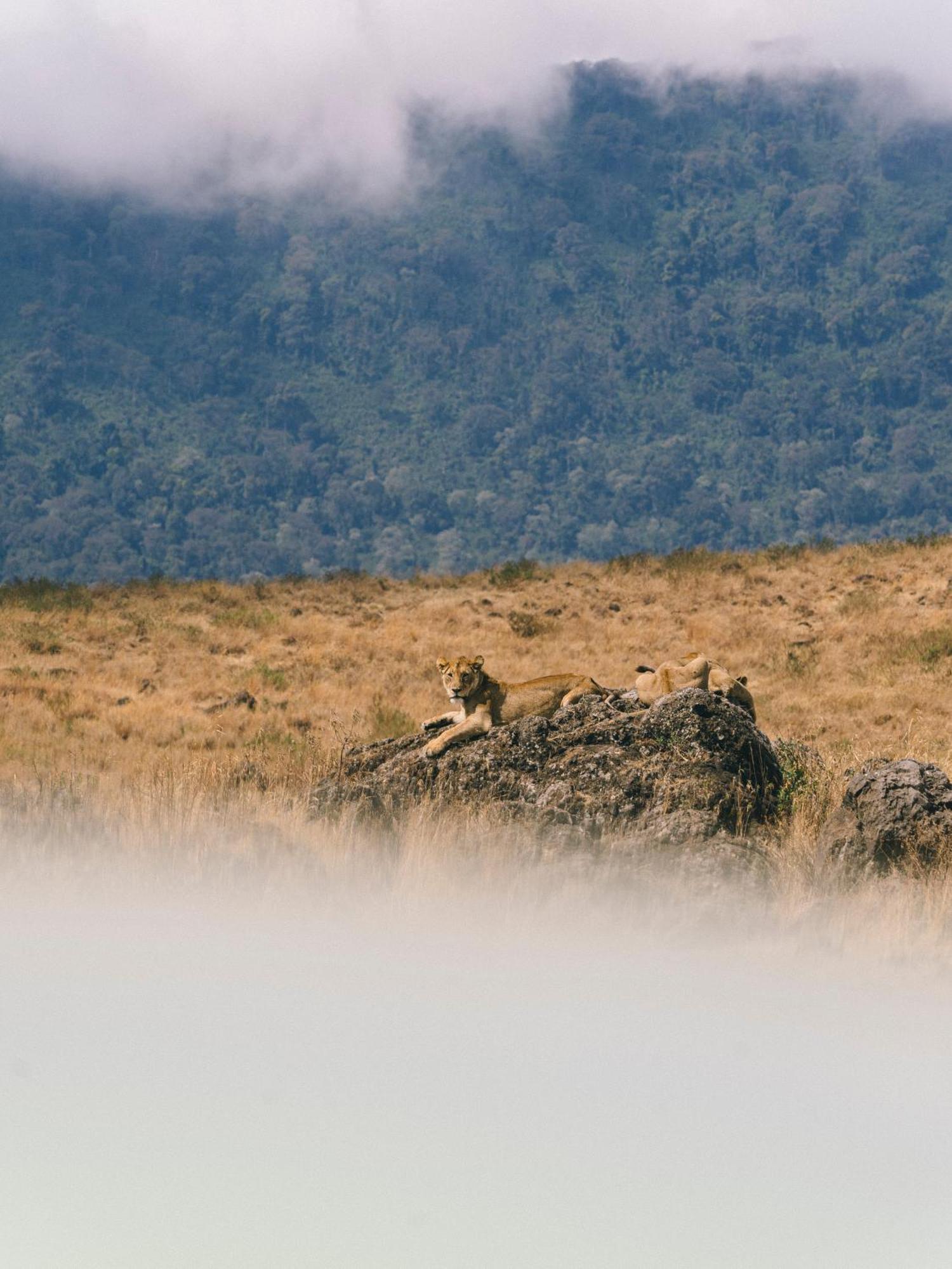 Ngorongoro Lodge Member Of Melia Collection - The Leading Hotels Of The World Kültér fotó