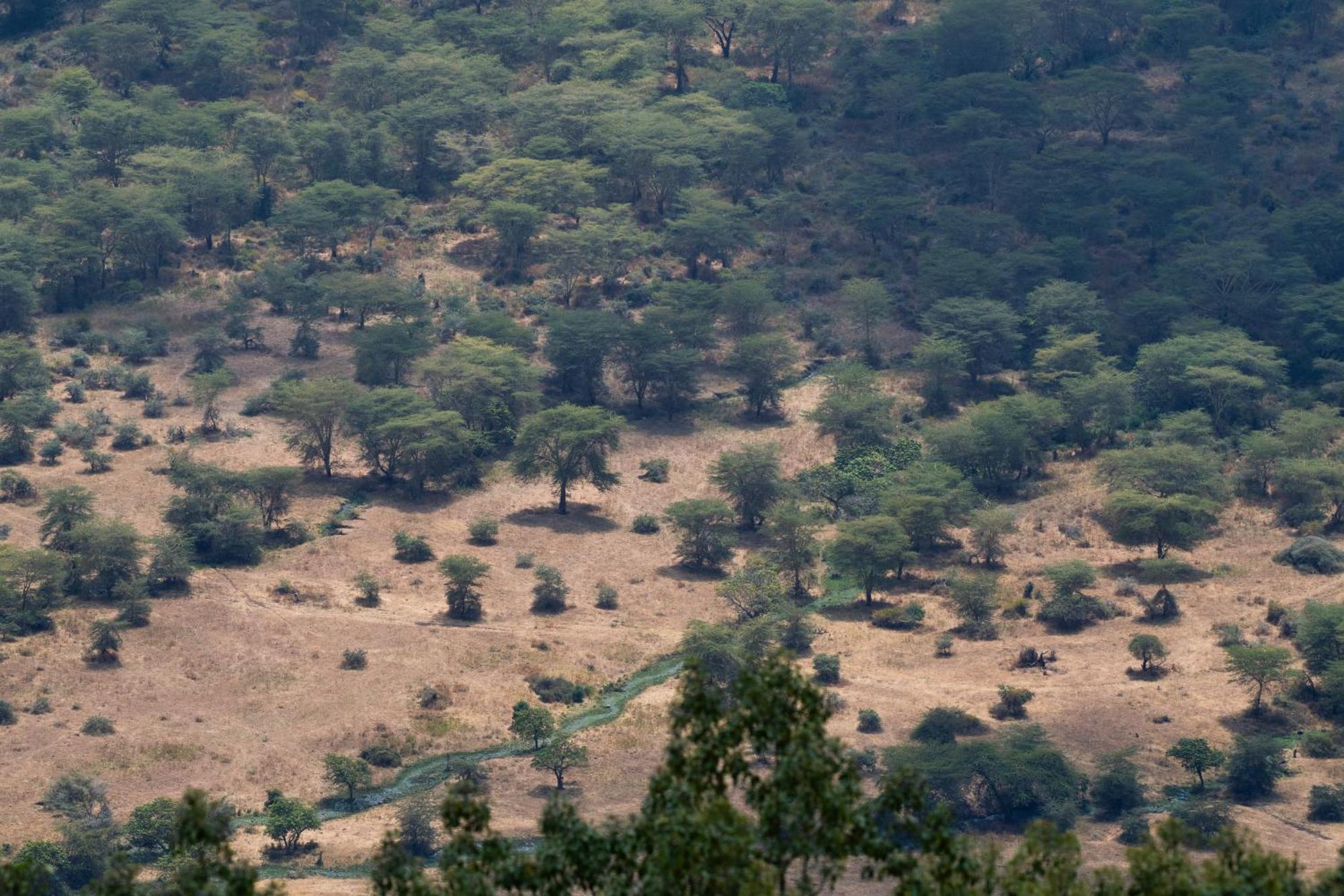 Ngorongoro Lodge Member Of Melia Collection - The Leading Hotels Of The World Kültér fotó