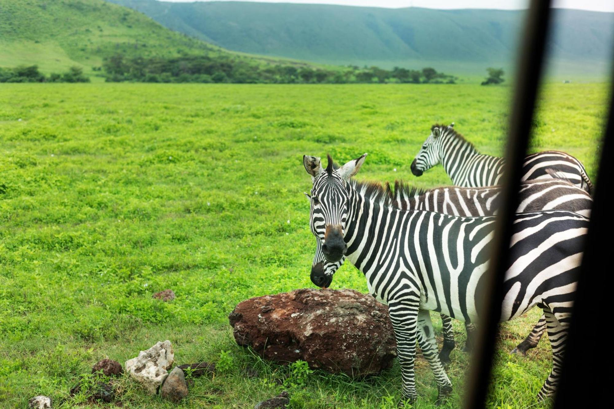 Ngorongoro Lodge Member Of Melia Collection - The Leading Hotels Of The World Kültér fotó